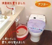 撮影／中川文作