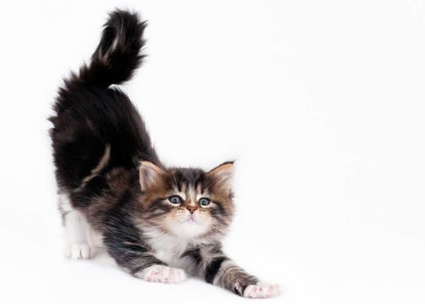 Iwqse7wuxv7vrm Iwqse7wuxv7vrm