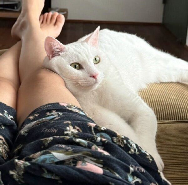 距離感近めのロメオちゃん