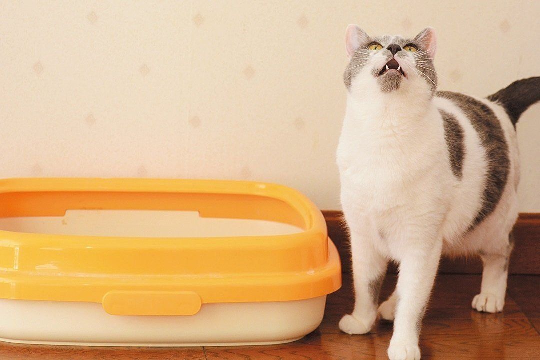 撮影／栗林　愛