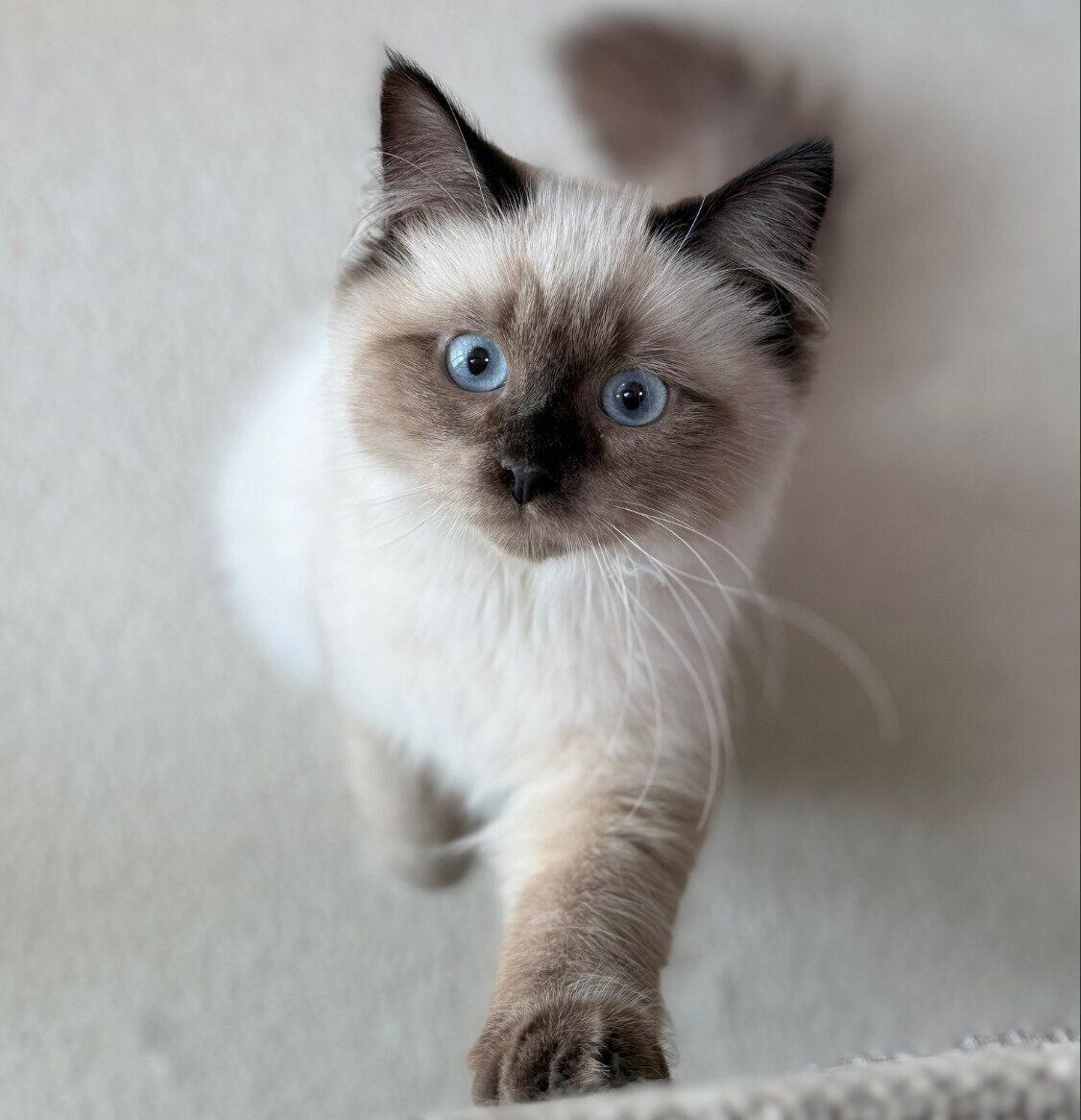 生後5カ月のるねくん