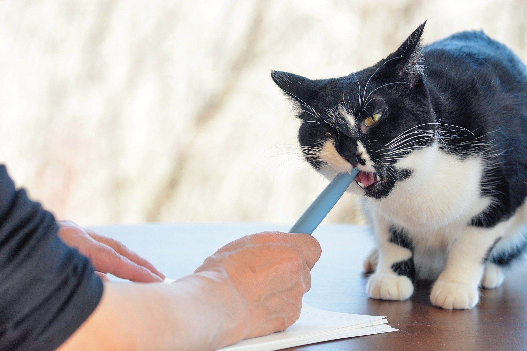 撮影／栗林　愛