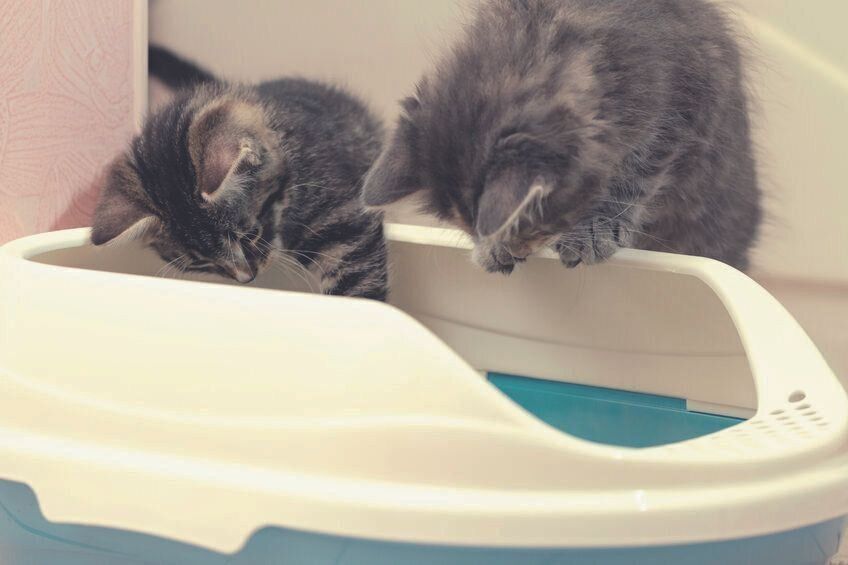 写真／ストックフォト