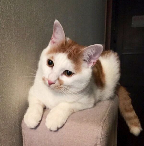 くつろぐちゃろくん