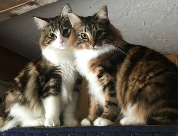 ジンくんとラムちゃんの2ショット
