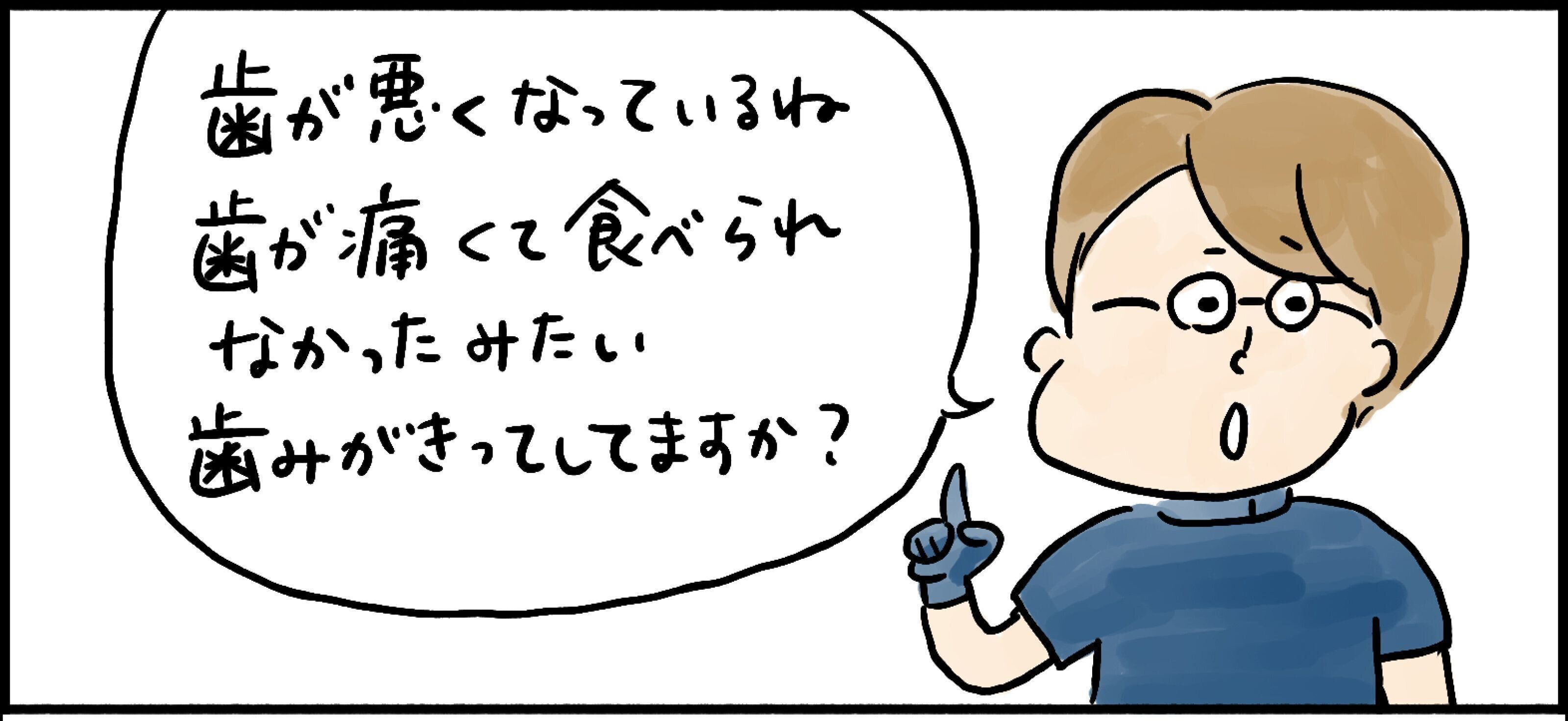 愛玩動物飼養管理士　猫　ねこ　ねこのきもち　資格　しつけ　日本愛玩動物協会　