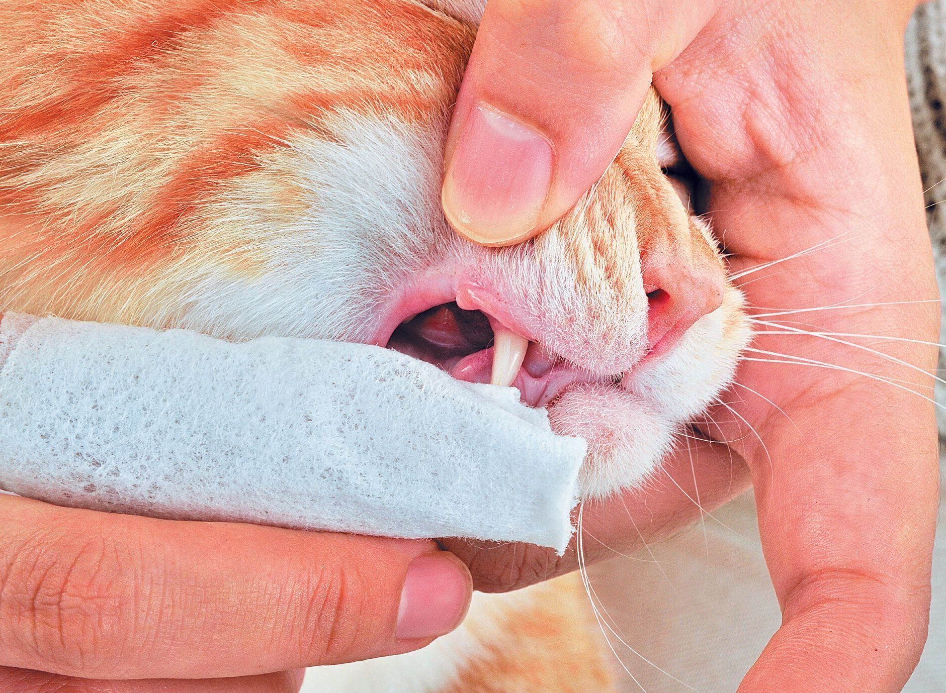 撮影／佐藤正之