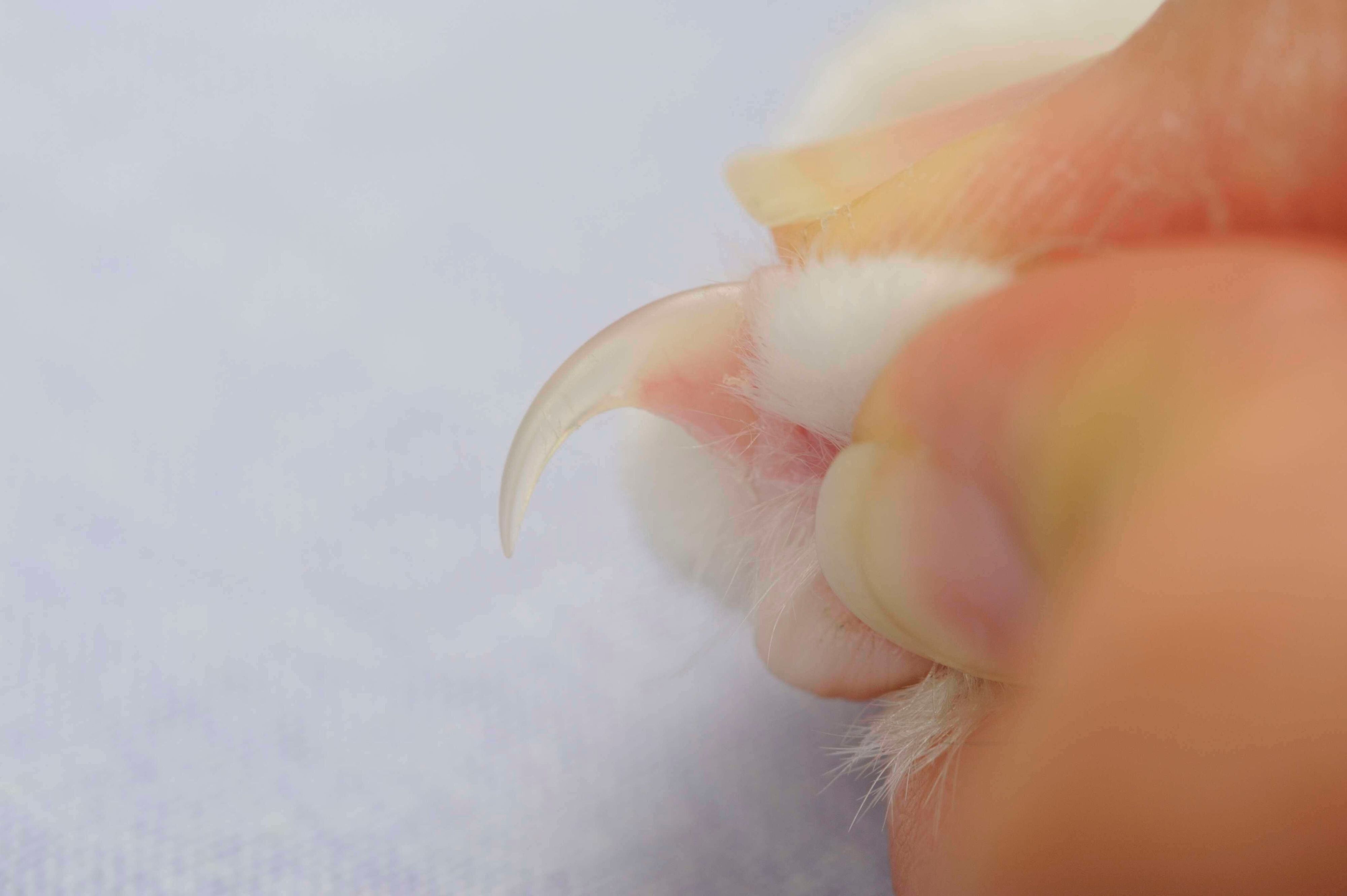 撮影／石原さくら