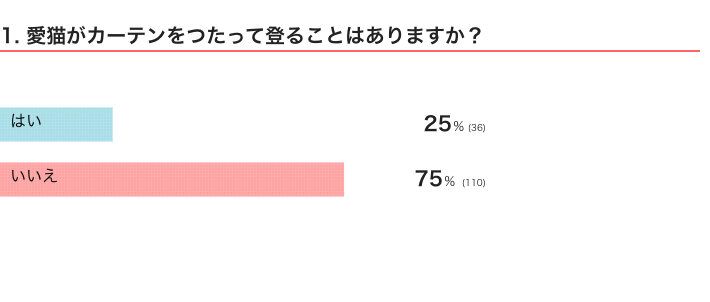 愛猫がカーテンをつたって登ることはある？