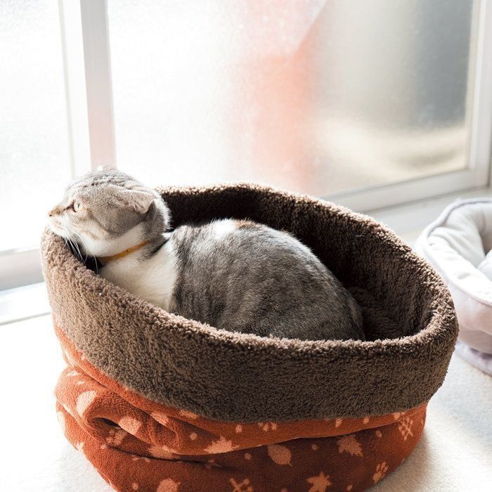 撮影／中川文作