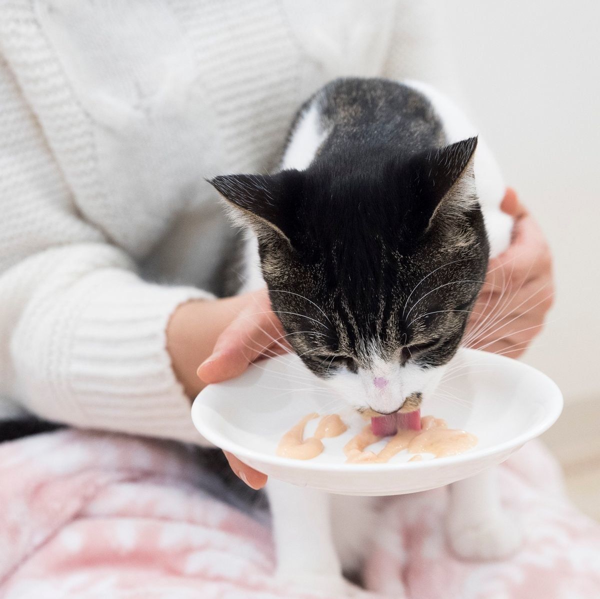 撮影／中川文作