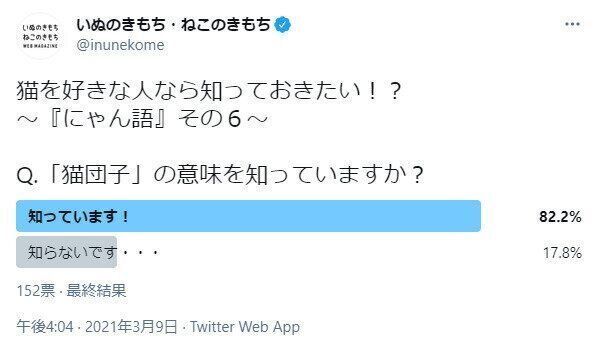 猫団子の認知度に関するアンケート