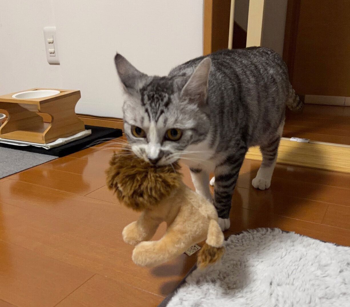 ライオンのぬいぐるみを運ぶ春くん。