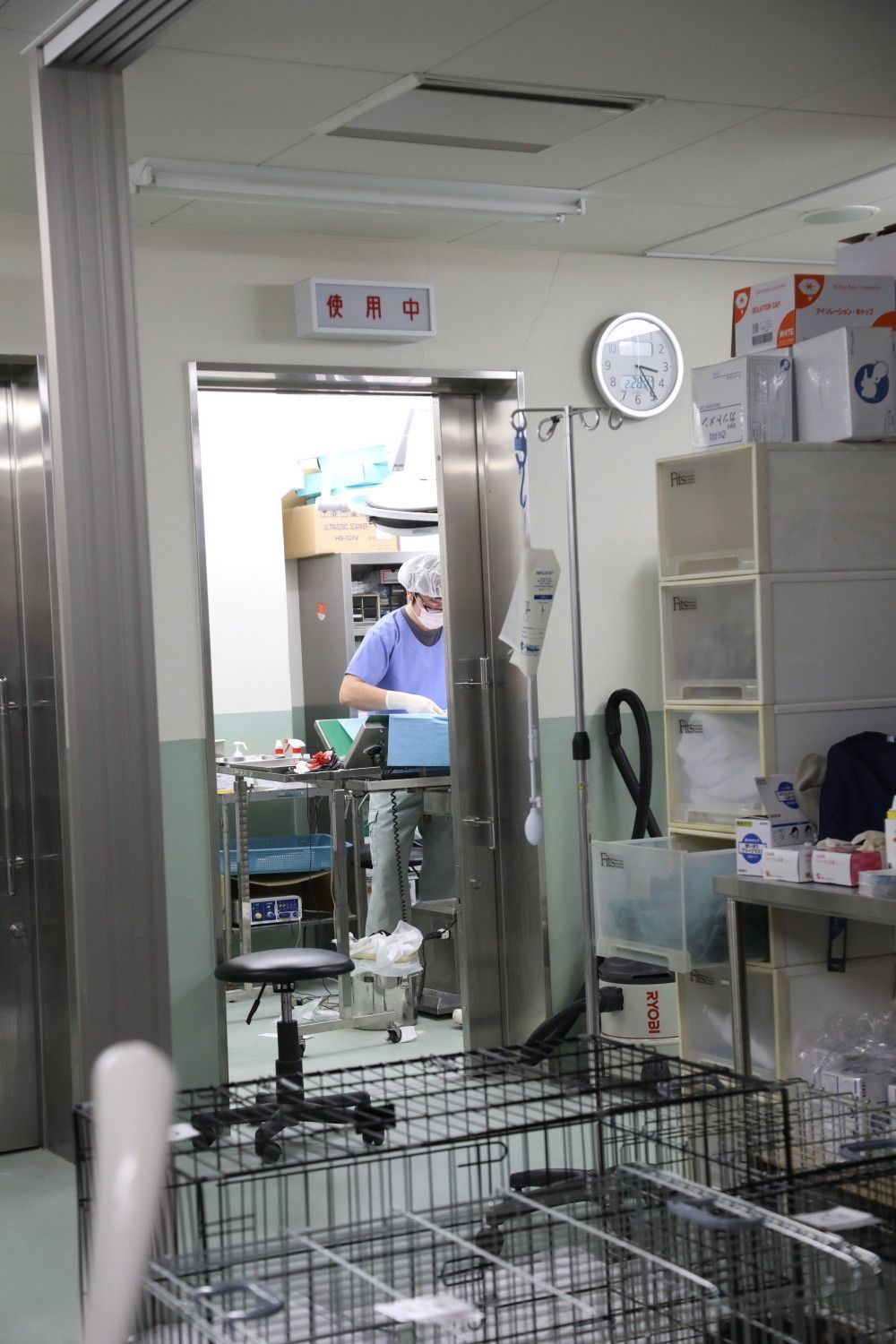 撮影／尾崎たまき