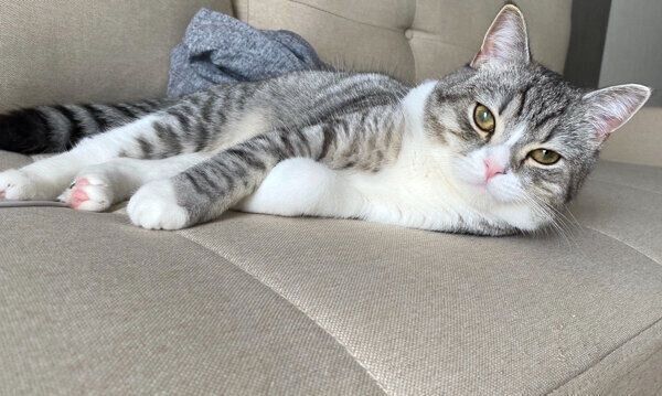 まったりするもち様