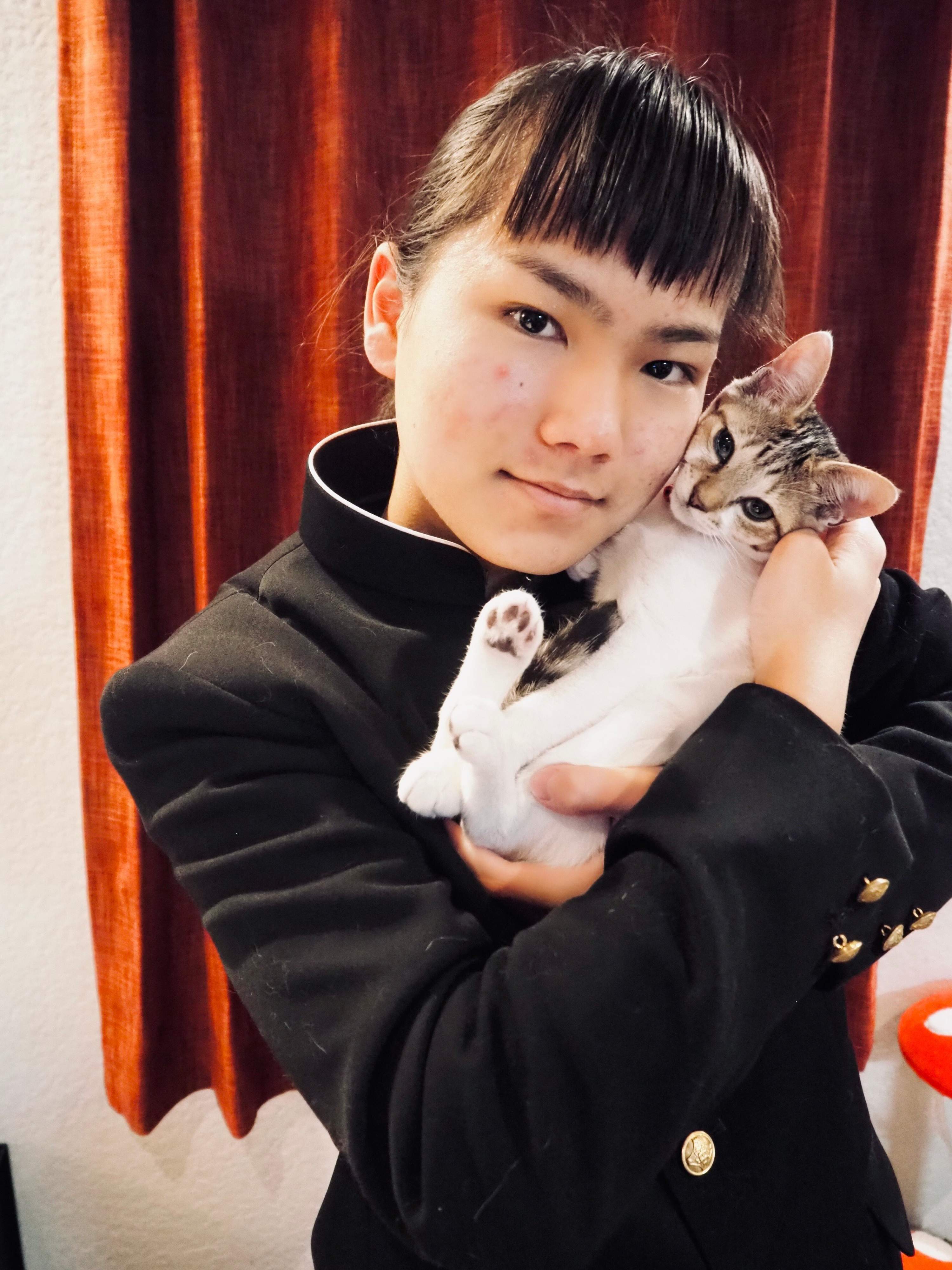 写真提供／子猫園ベルソーデシャトンズ