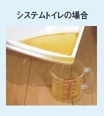画像／2017年５月号「大切なことはオシッコが教えてくれる」