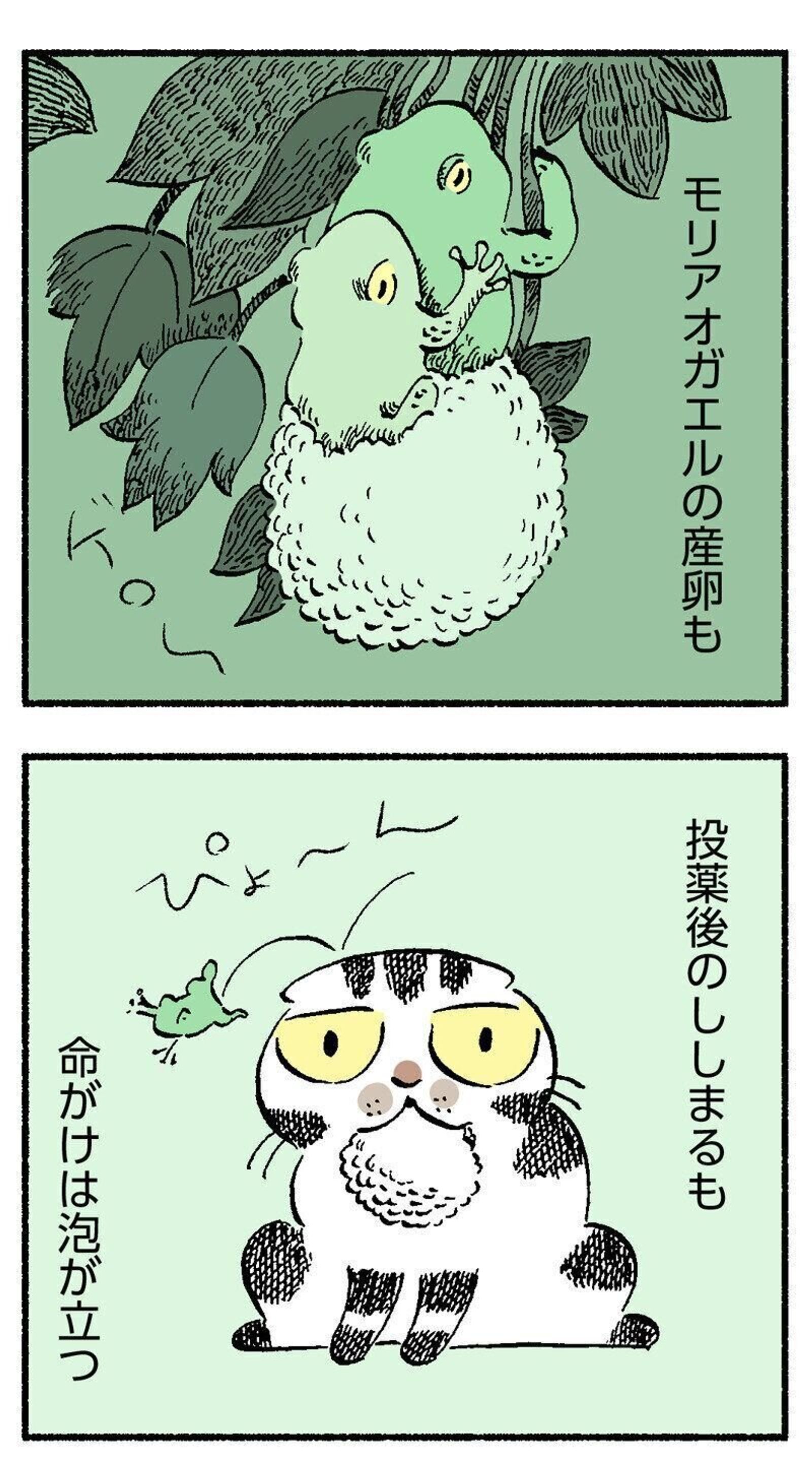 ぺっと吐き出す 飲んでくれたと思っても飲んだふり そんな猫へ錠剤をあげるコツをつかんだお話 連載 渋ネコししまるさん 140 ねこのきもちweb Magazine ぺっと吐き出す 飲んでくれたと思っても飲んだふり そんな猫へ錠剤をあげるコツをつかんだお話 連載 渋ネコししまるさん 140 ねこのきもちweb Magazine