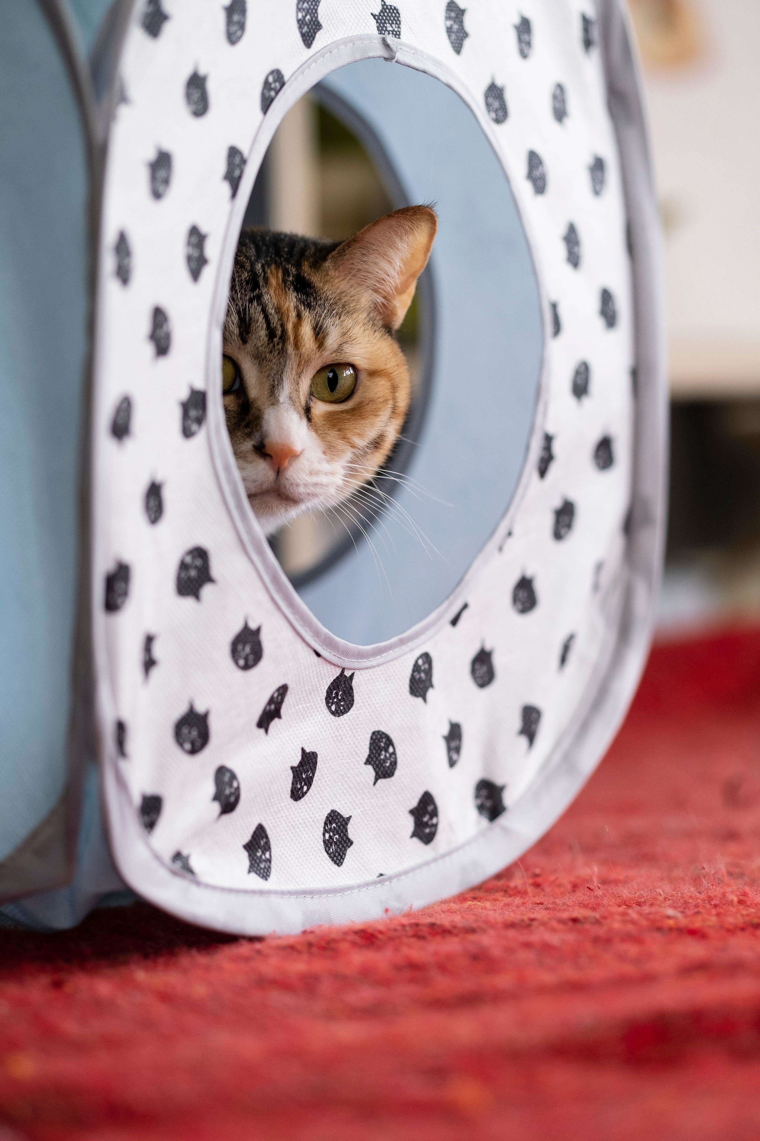 撮影／Akimasa Harada