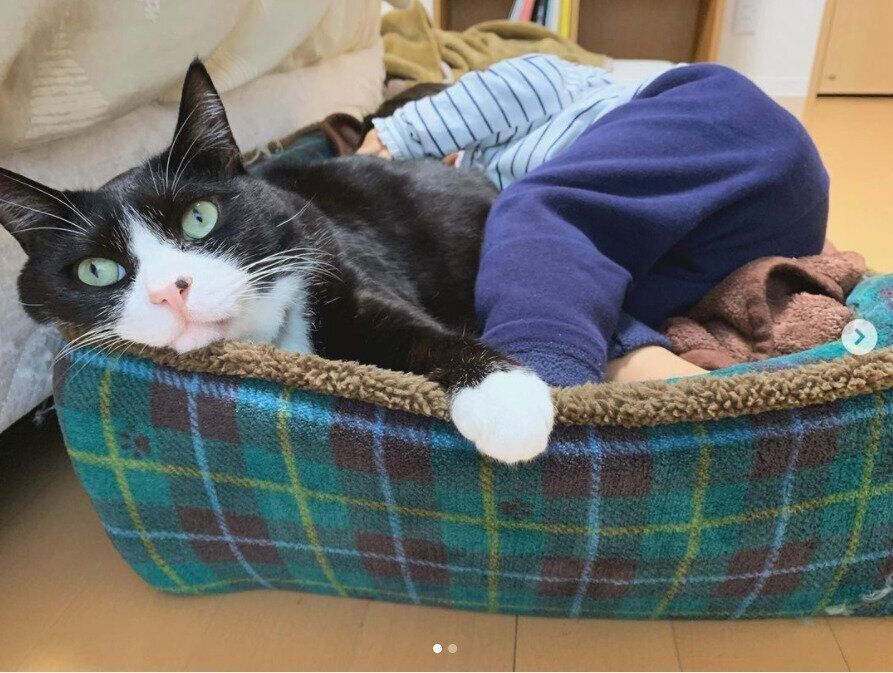 クロリーニョのベッドに一緒に入るお豆ちゃん