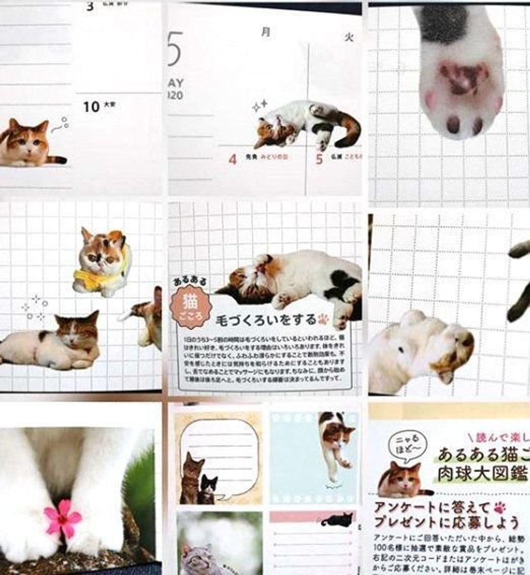 いつも使うものだから可愛いものを選びたい 年最新の猫手帳 ねこのきもちweb Magazine いつも使うものだから可愛いものを選びたい 年最新の猫手帳 ねこのきもちweb Magazine