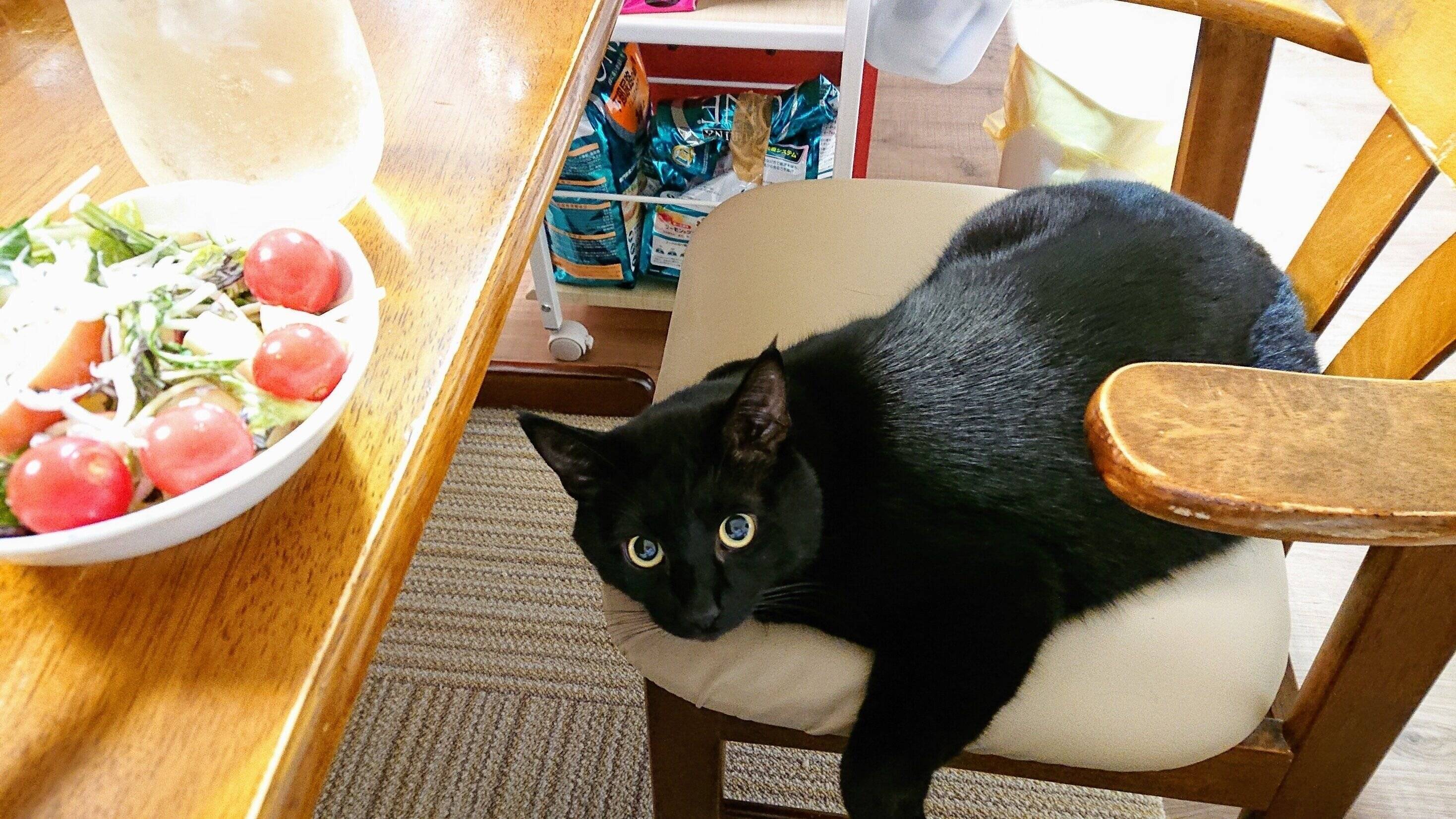 写真提供／読者