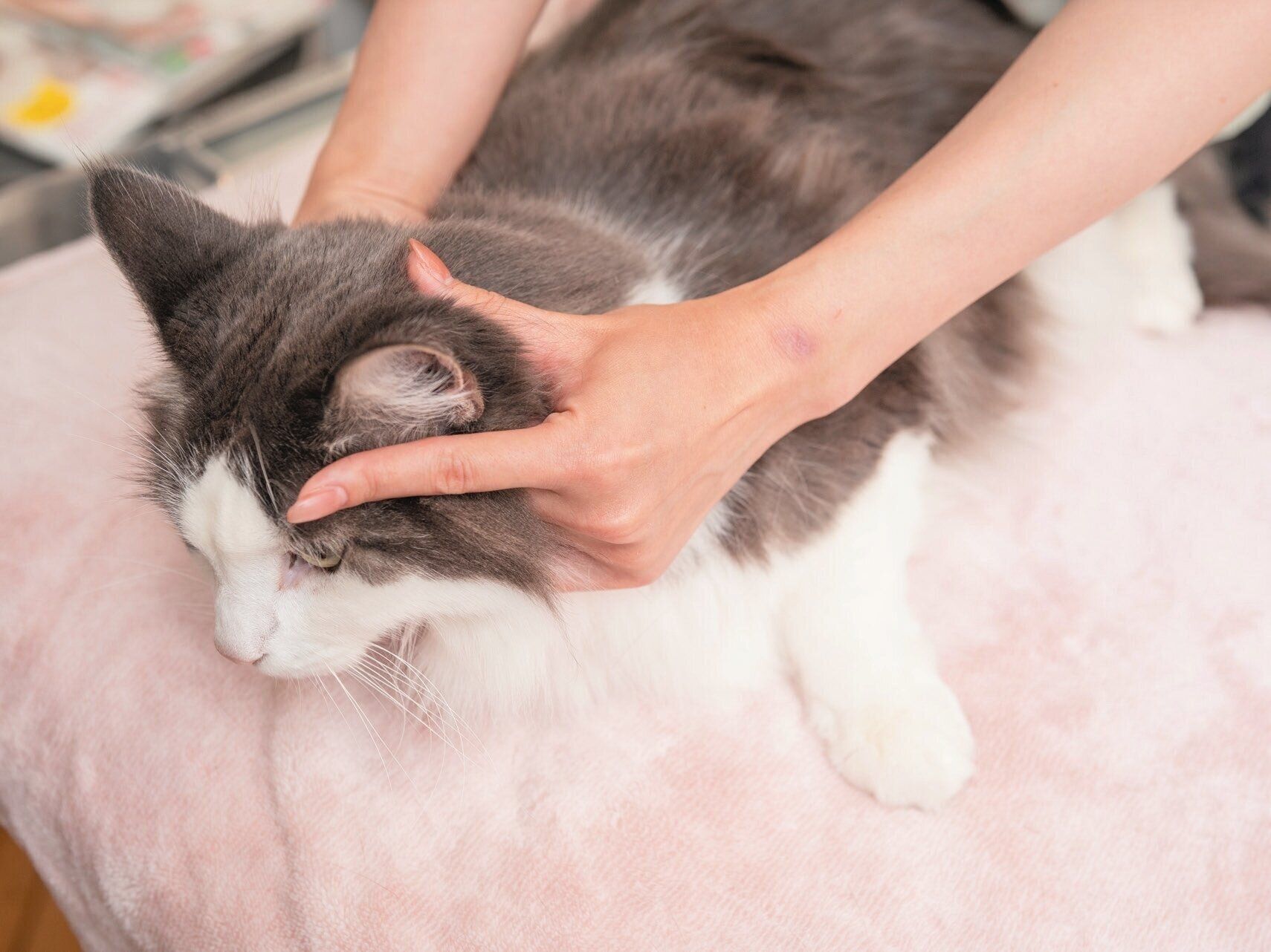 耳の血行をよくするマッサージ