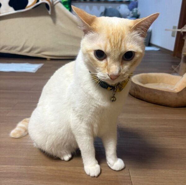現在のロニーくん