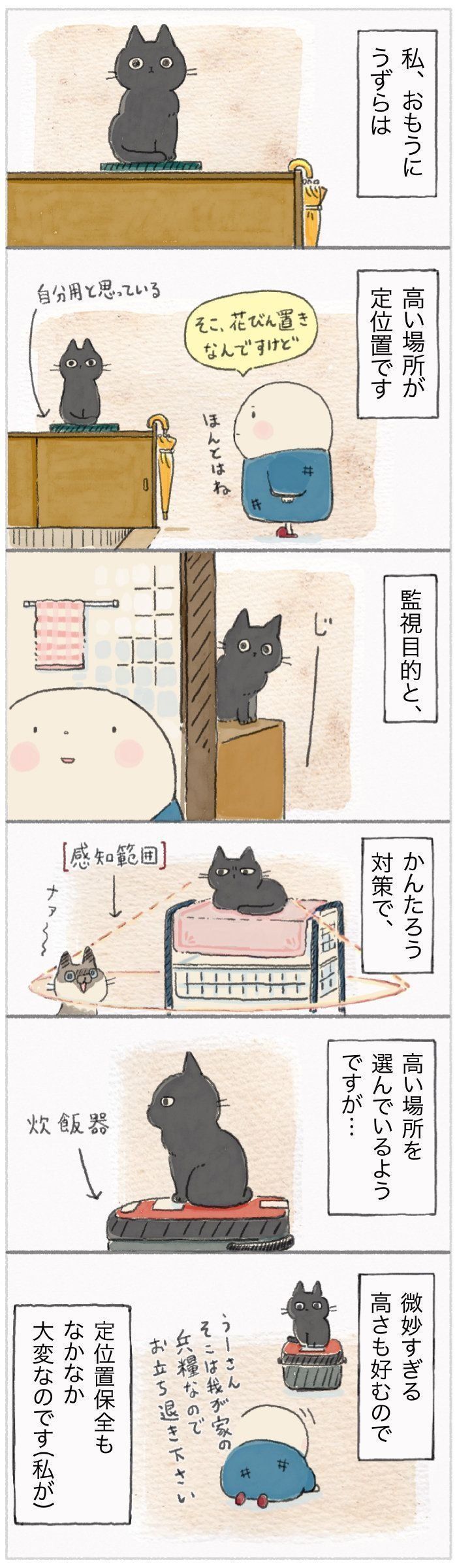 「ねこ連れ草」67話め
