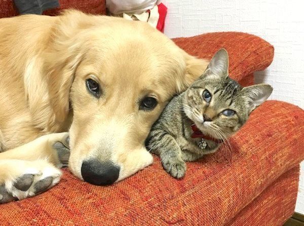 寄り添うくうちゃんとかいくん