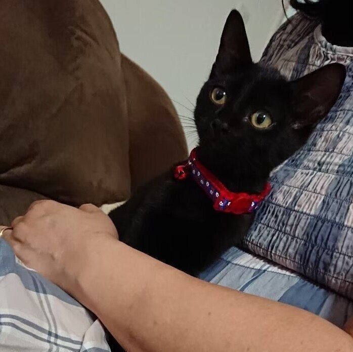 お迎え直後のルージュちゃん