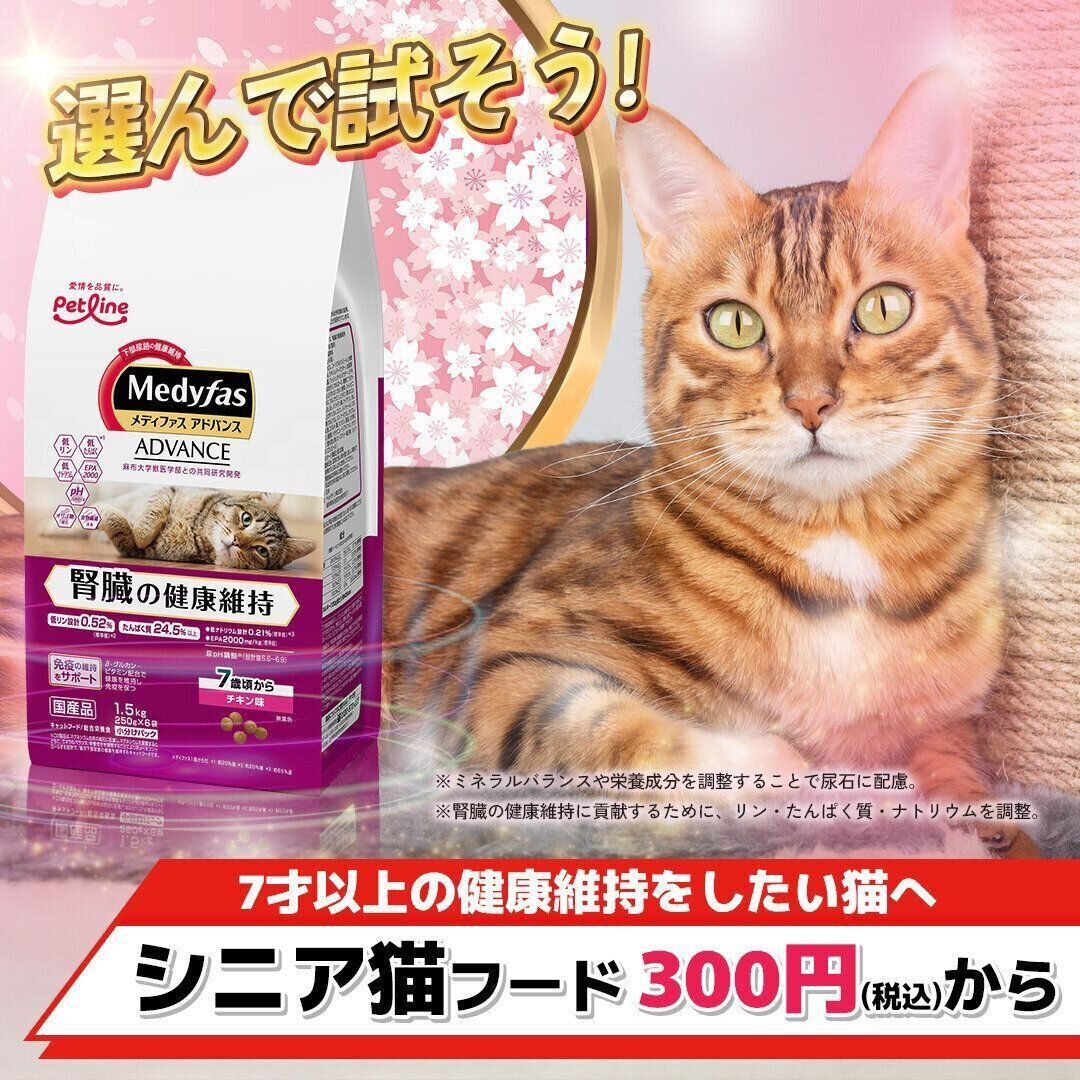 お試しできるフードを見る