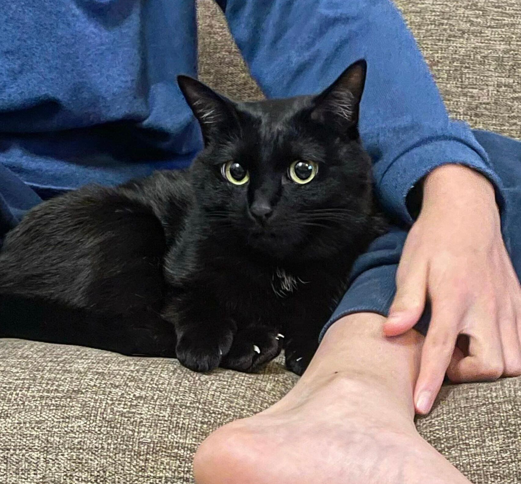 長男に甘えるモナちゃん