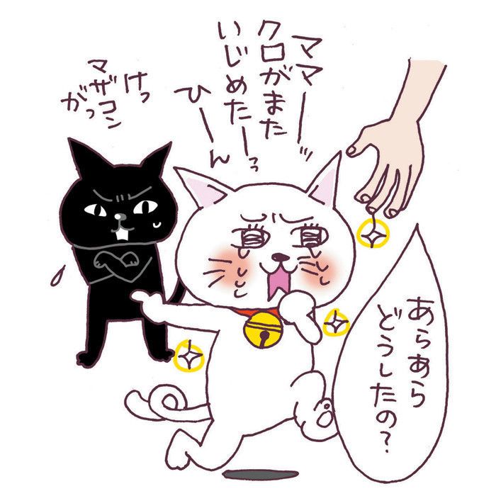 クールでマイペースに見えるけど実は…