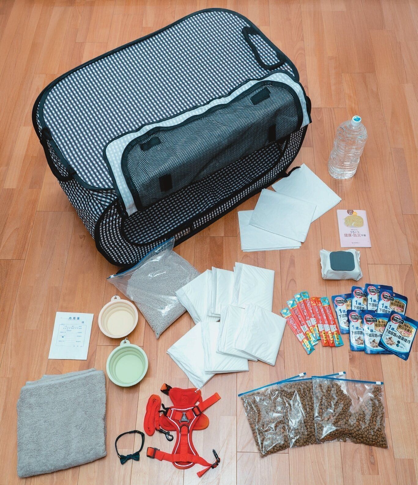 防災バッグの中身