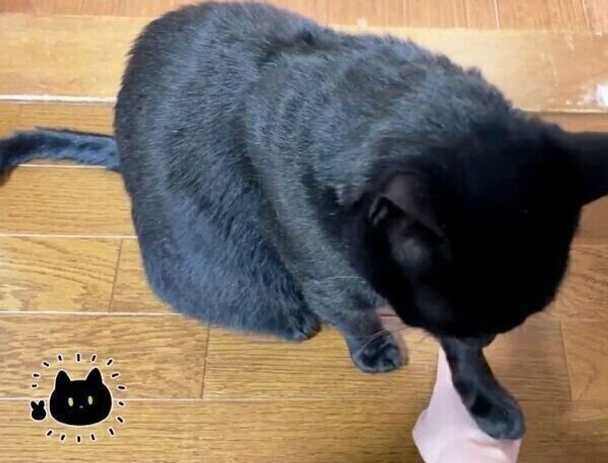 Pjfsmyhz Jej4m Pjfsmyhz Jej4m