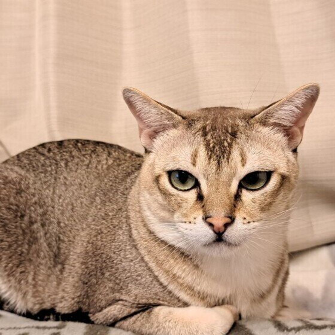 O Jwd4i2hvnoom O Jwd4i2hvnoom