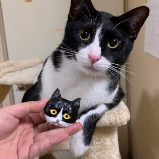 ちと・ルトくん