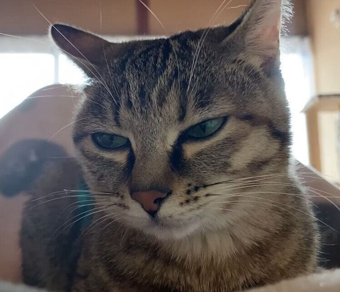 Xi5gxk1upq9nim Xi5gxk1upq9nim