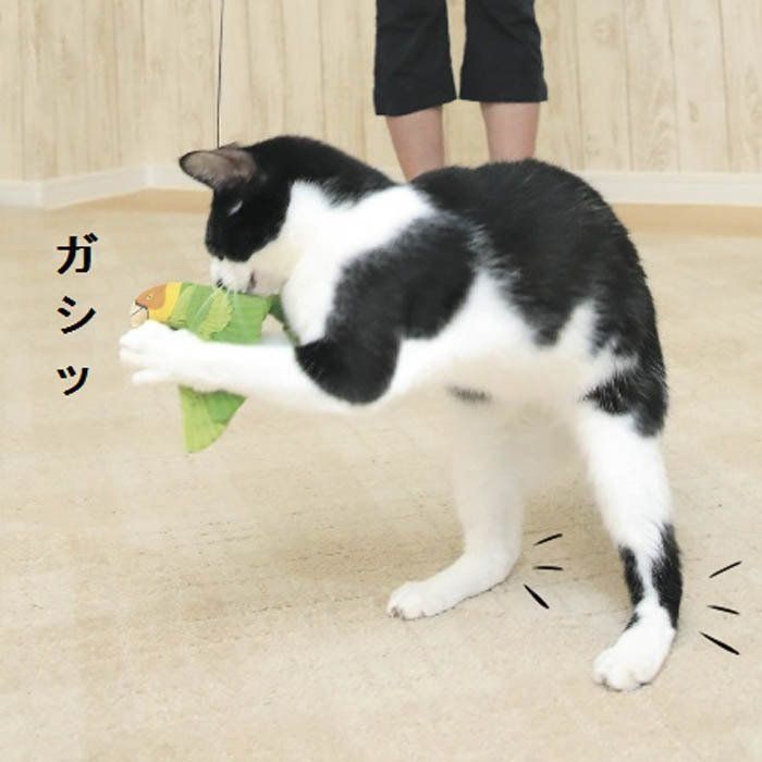 撮影／尾﨑たまき