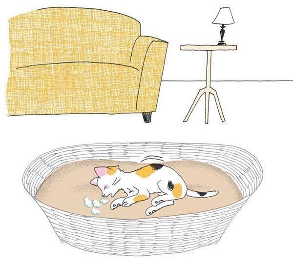 猫カゼをこじらせた猫