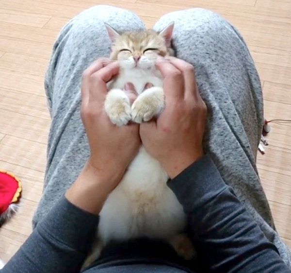 マッサージしてもらうカイくん