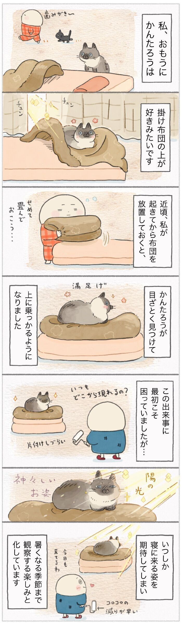 「ねこ連れ草」177話め
