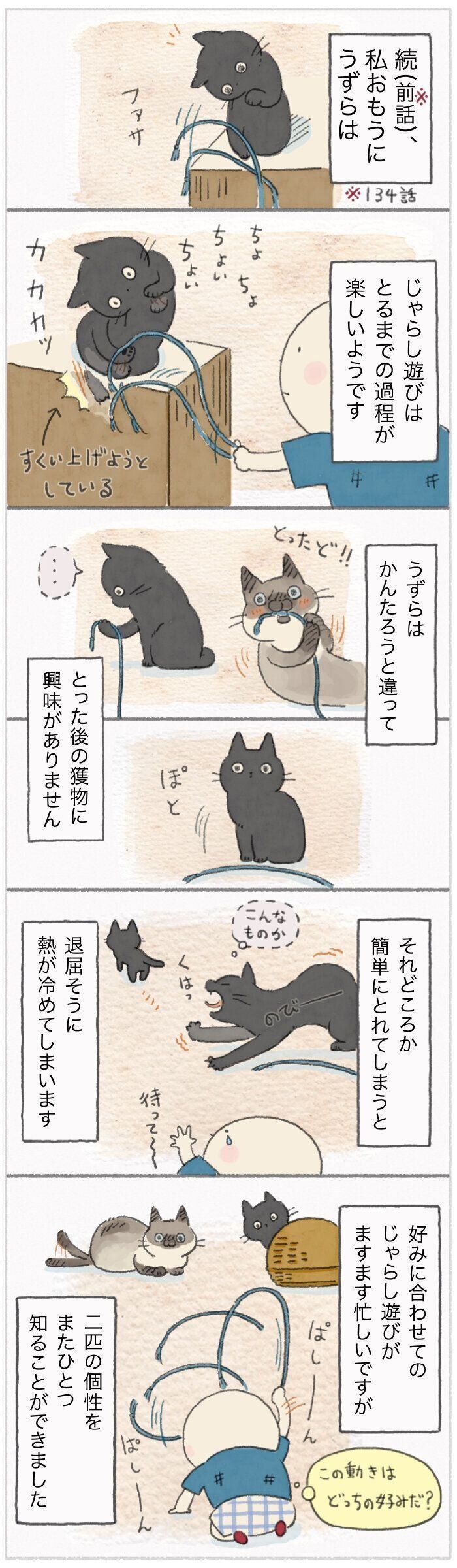 「ねこ連れ草」135話め