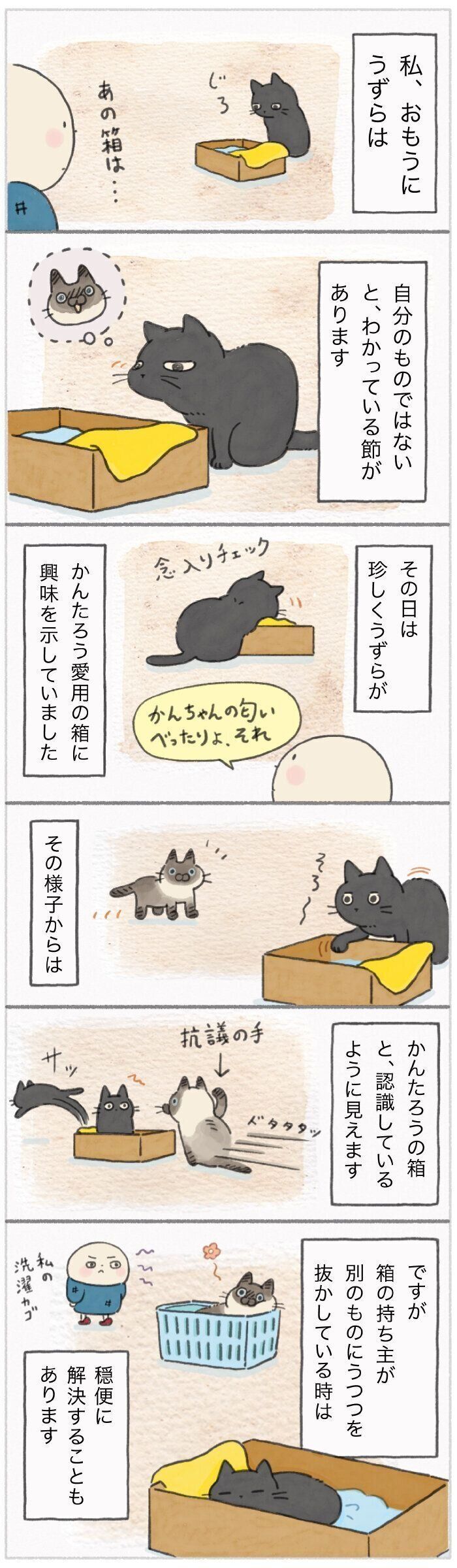 「ねこ連れ草」199話め