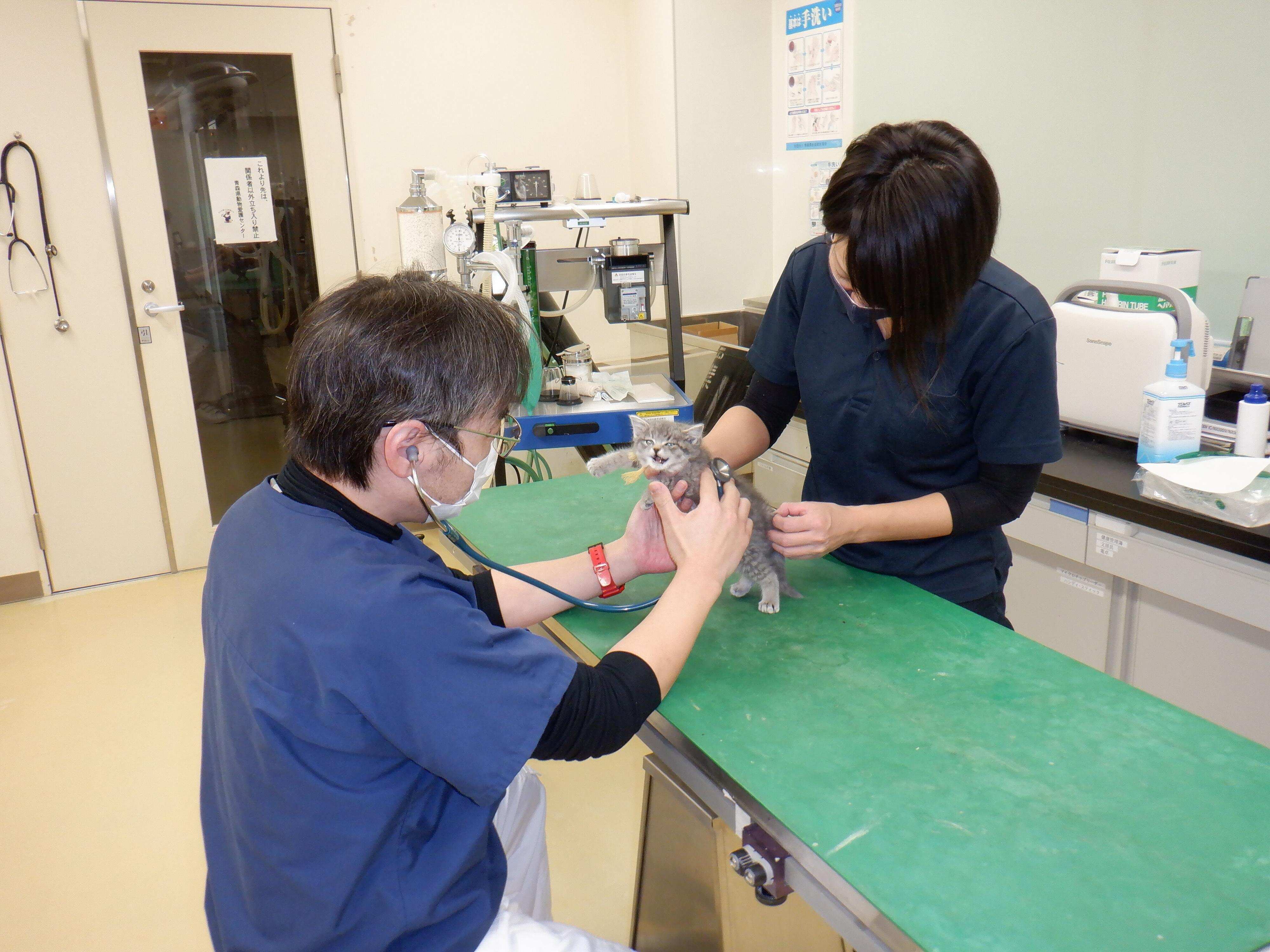 青森県動物愛護センター