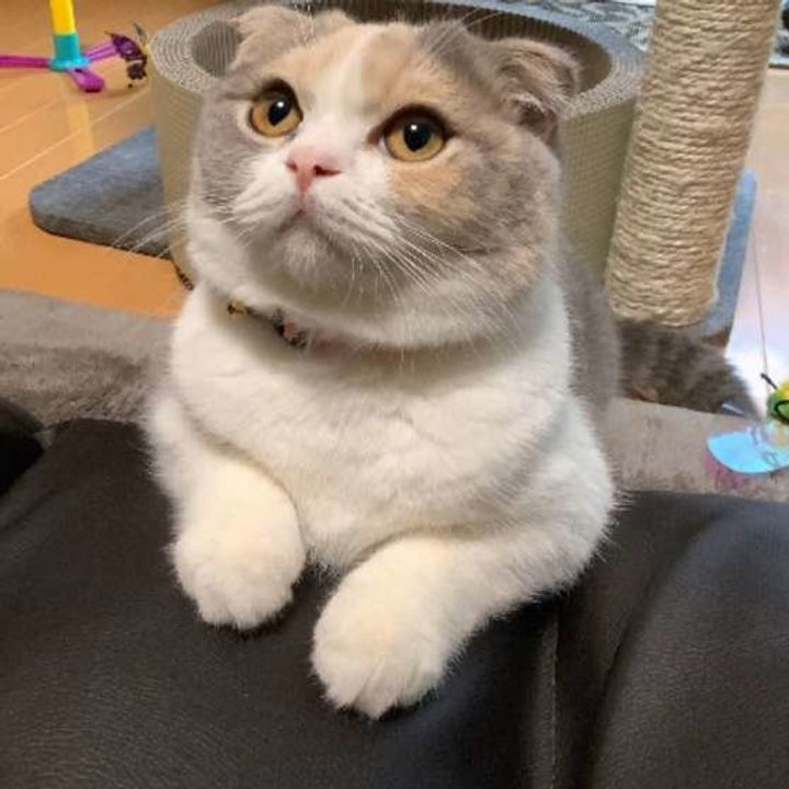 X0avyp2mnhxaxm X0avyp2mnhxaxm