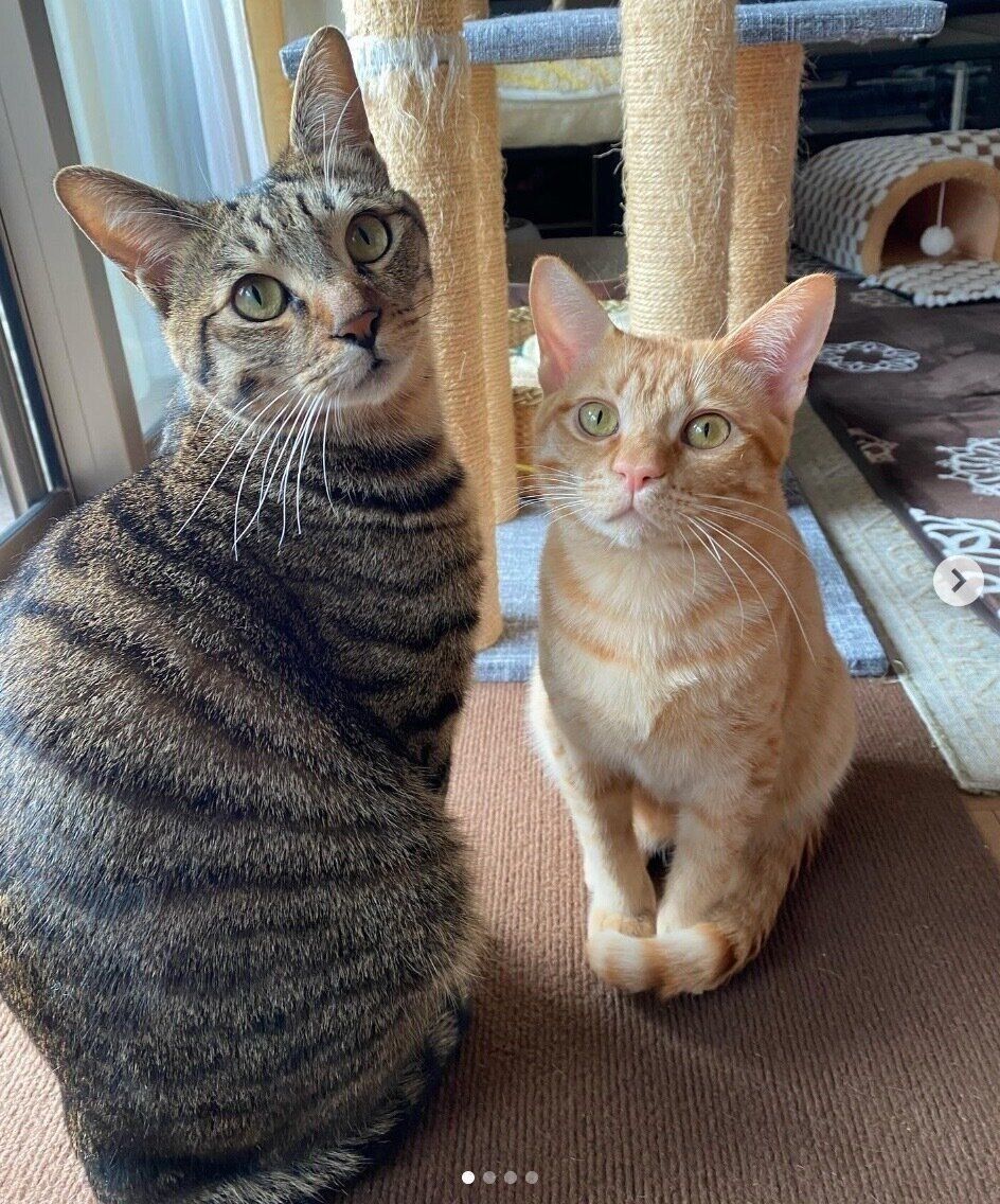 もずくくんとつくしくん