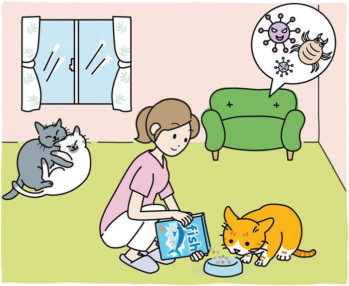 イラスト／chizuru