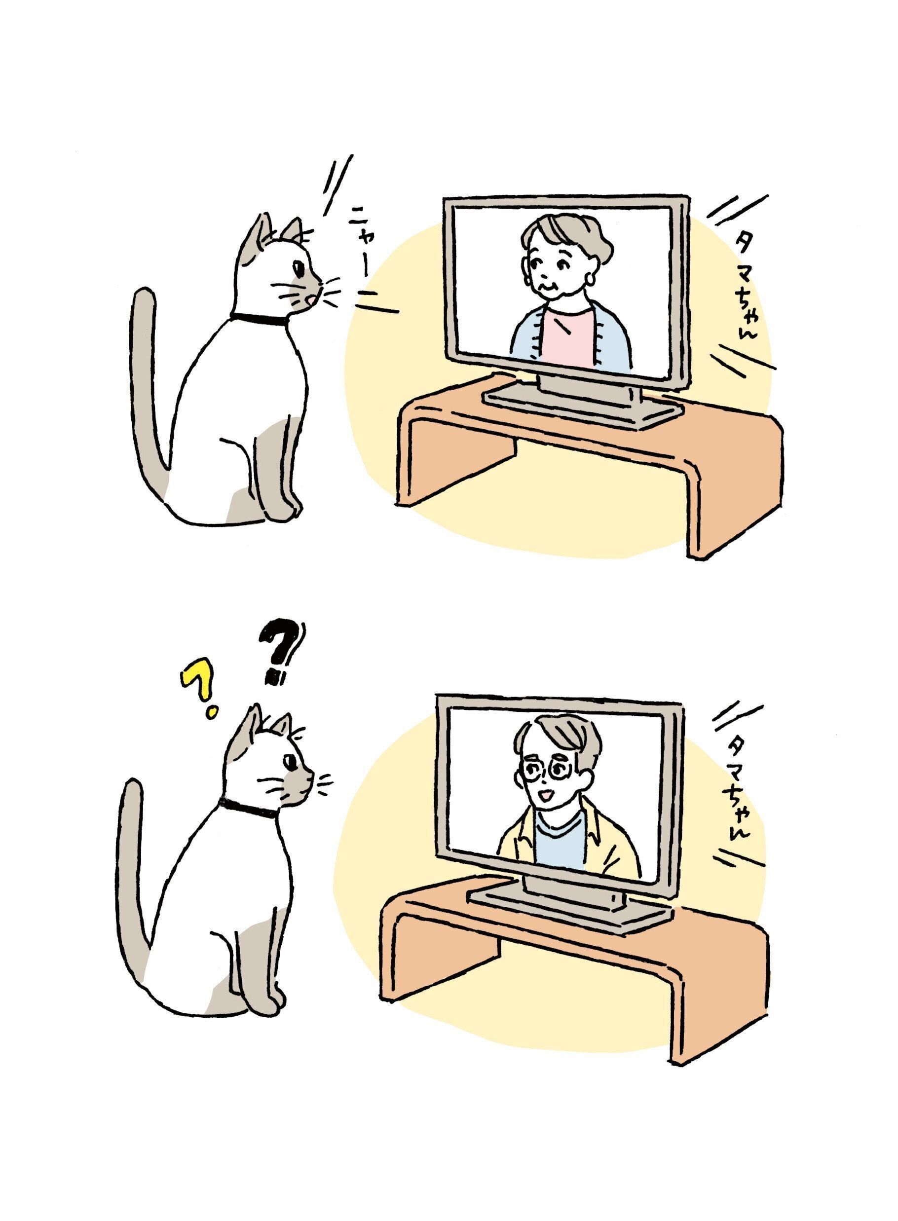 イラスト／徳丸ゆう